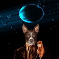 Da Scrappy Chihuahua Podcast 2.0 cover