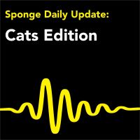 Daily News about Cats - Seriously cover