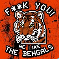 F*** You. We Like The Bengals. cover