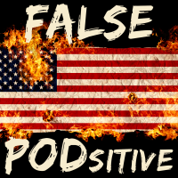 False Positive cover