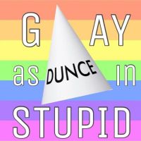 Gay As In Stupid Podcast cover