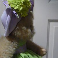 Lady Bear's Rumblings cover