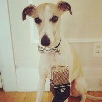 Keating's Life Advice Pupcast cover