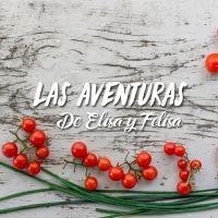 Las Aventuras de Elisa y Felisa cover
