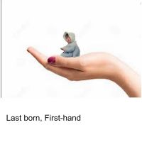 Last Born, First-hand cover