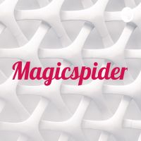 Magicspider cover