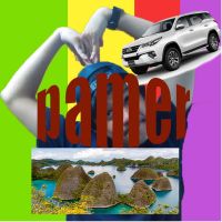 Pamer cover