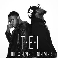 The T.E.I . Podcast (The Extroverted Introverts) cover