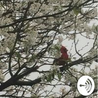 Tai Keowan cover