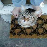 Samoosa Chat cover