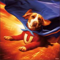 Underdog Foods -- the Podcast cover