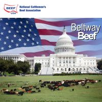Beltway Beef cover