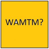 WAMTM - Philosophical Leopard cover