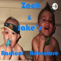 Zach & Jake's Radical Adventure cover