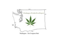 Washington Weekly Weed Report cover
