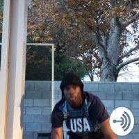 Yolo cover