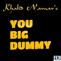 You Big Dummy cover