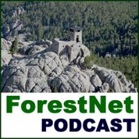 Forest Podcast cover