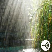 Dancing In The Rain cover