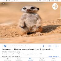 Dannel cover