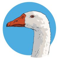 Game Goose cover