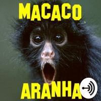 Macaco-Aranha cover