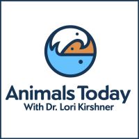 Animals Today Radio cover