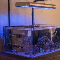 Nano Reefing Podcast cover