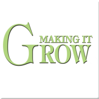 Making It Grow Minutes cover