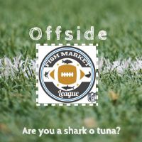 Offside cover