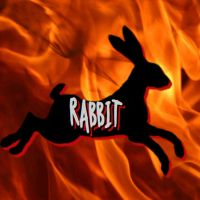 Rabbit's first show cover