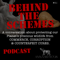 Behind the Schemes cover