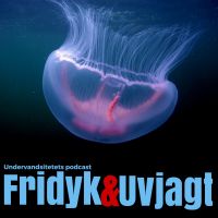Undervandsjagt & fridykning - Uvpodcast. cover