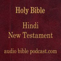 ABP - Hindi Bible - New Testament - January Start cover