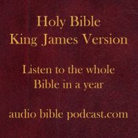 ABP - King James Version - One Hour A Day - January Start cover