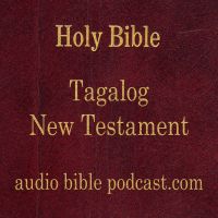 ABP - Tagalog Bible - New Testament - November Start cover