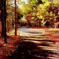 I'm Walking Here cover