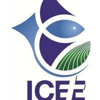 ICEE Oficial cover