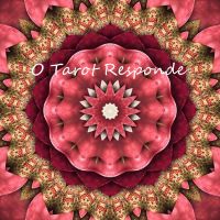O Tarot Responde cover