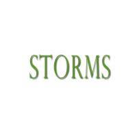 Jason Storms' Podcast cover