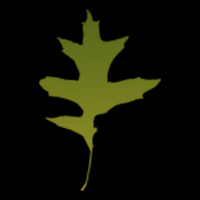 Oak Hills Christian Church Sermons cover