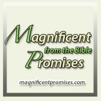 Magnificent Promises cover