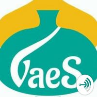 Vaes Magazine cover