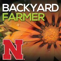 Backyard Farmer Podcast cover