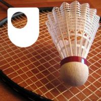 Badminton: Fitness and Training - for iPad/Mac/PC cover