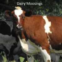 Dairy Moosings cover