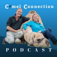 Camel Connection Podcast cover