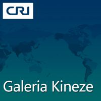 Galeria Kineze cover