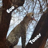 Eco Tones Podcast cover