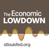 Economic Lowdown cover
